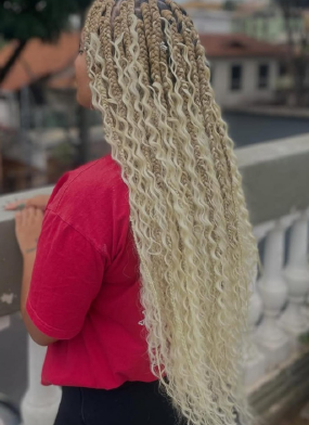 Gypsy Braids